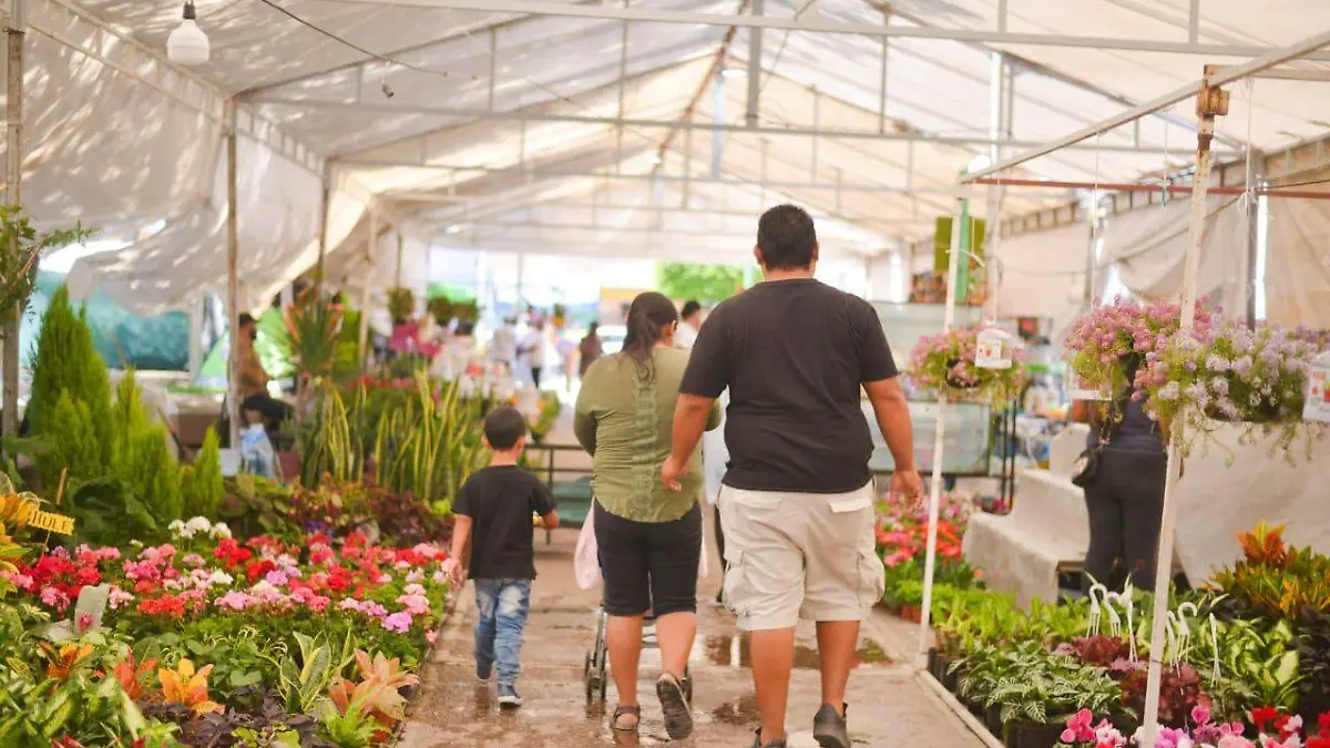 Inauguración, Feria de las Flores Soledad (4)